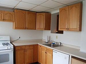 Kitchen Design Services, Harleysville, PA